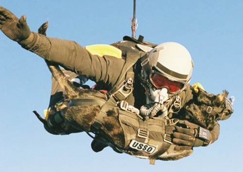 Special Forces HALO jump with dog.  Both on oxygen.