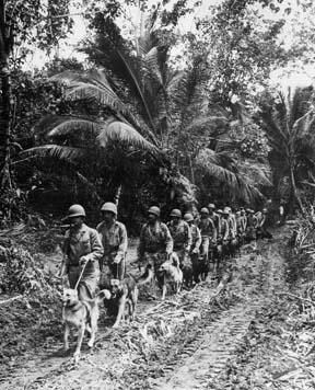 Well known photo of USMC Raiders on K-9 patrol, Bougainville, December 1943